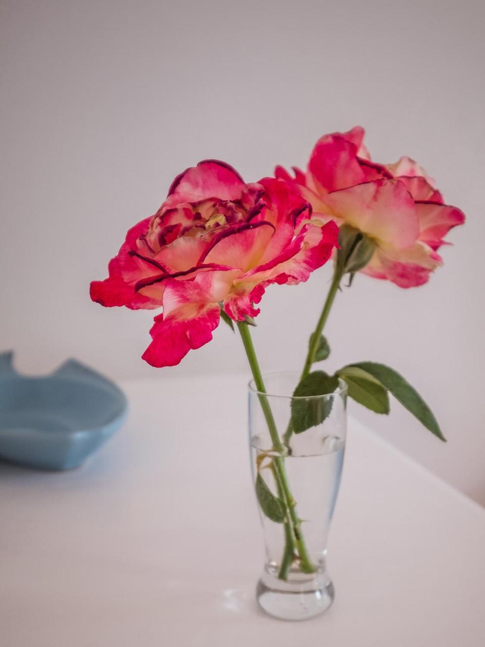 On The Bay Bed & Breakfast พอร์ตเอลิซาเบธ ภายนอก รูปภาพ